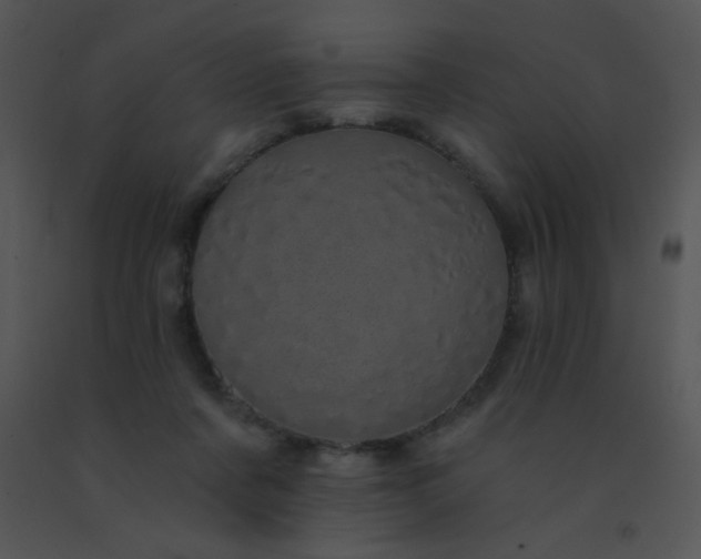 X0000091560311200708311420