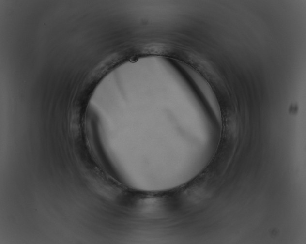 X0000091560312200708311420