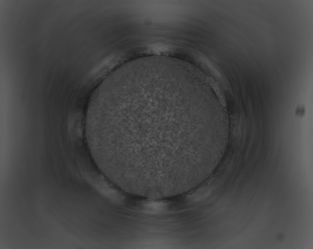 X0000091560313200708311420