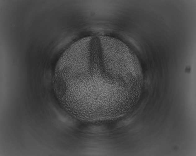 X0000091560314200708311420