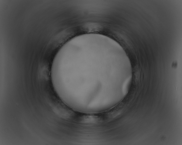 X0000091560316200708311420