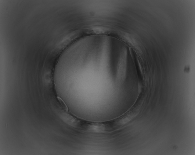 X0000091560317200708311420