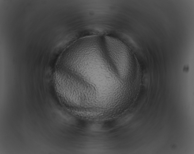 X0000091560318200708311420