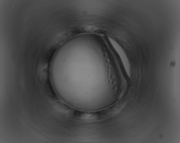 X0000091560319200708311420