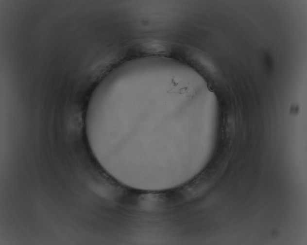 X0000091560320200708311420