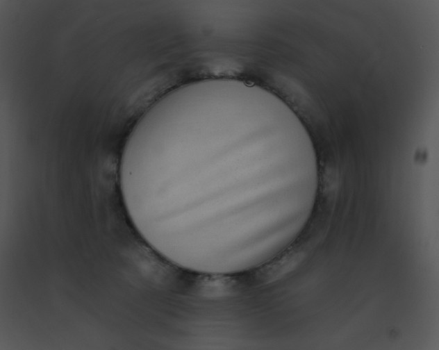 X0000091560321200708311420