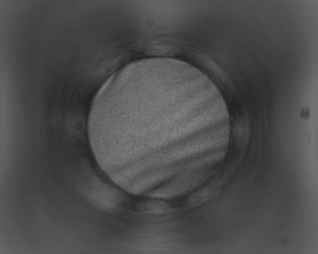 X0000091560322200708311420