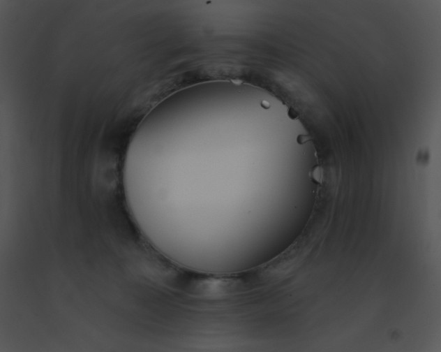 X0000091560323200708311420