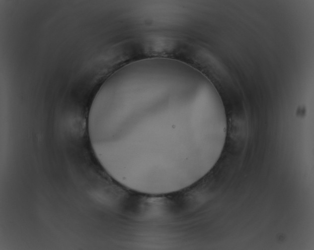 X0000091560324200708311420