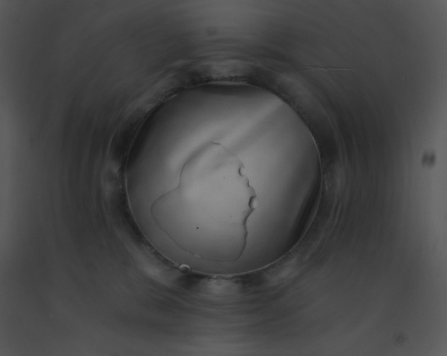 X0000091560327200708311420