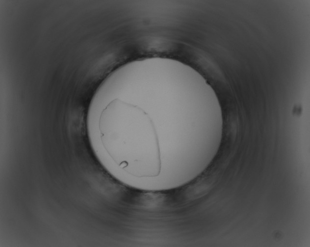 X0000091560328200708311420