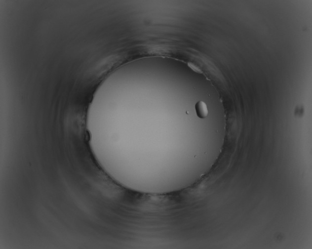 X0000091560329200708311420