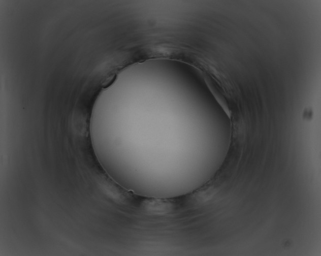 X0000091560331200708311420