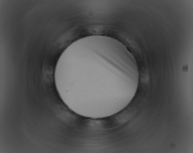 X0000091560332200708311420