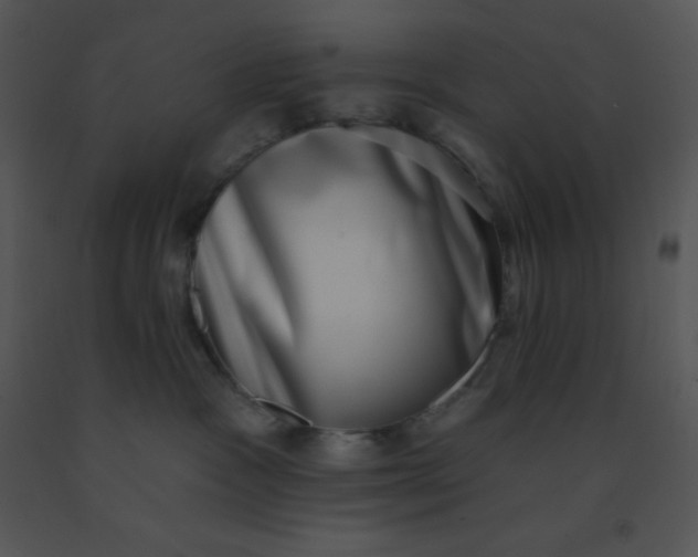 X0000091560333200708311420