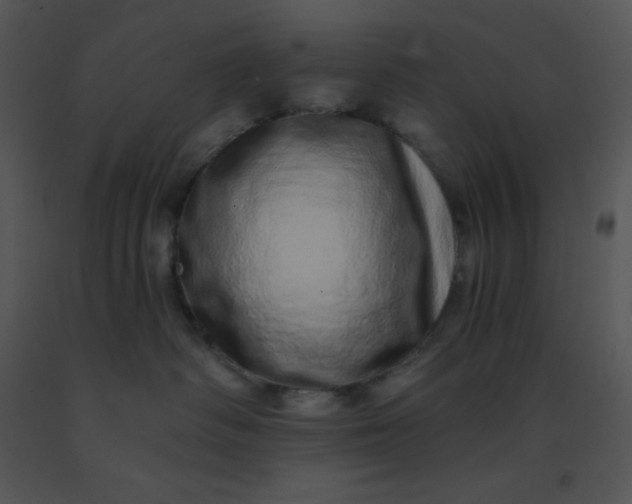 X0000091560334200708311420