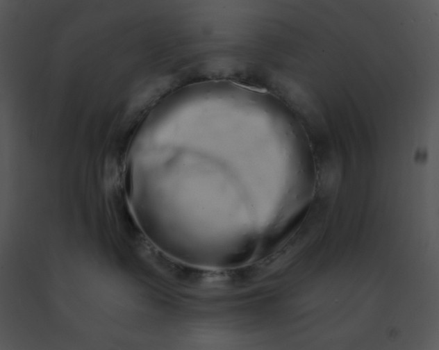 X0000091560335200708311420