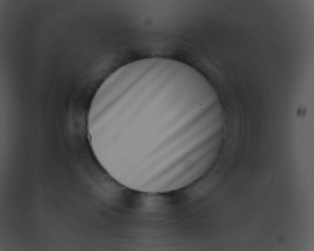 X0000091560336200708311420