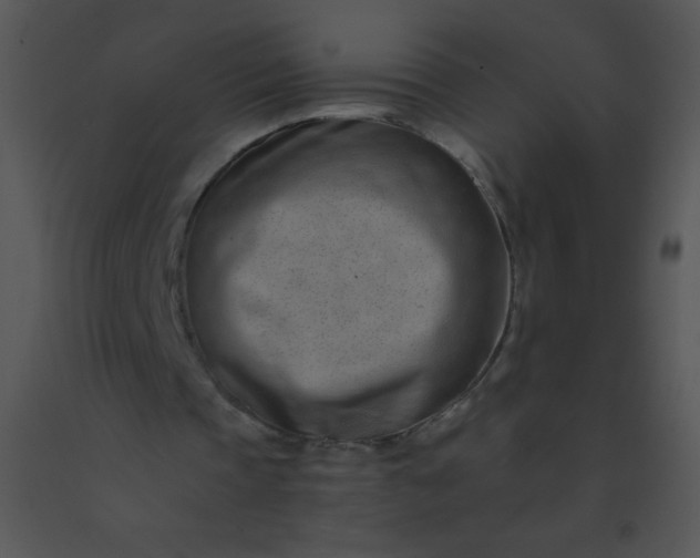 X0000091560337200708311419