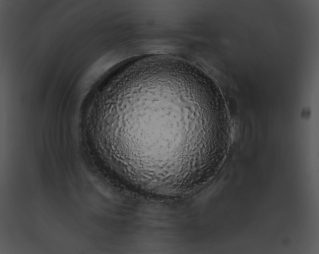 X0000091560339200708311419