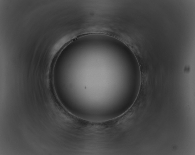 X0000091560340200708311419