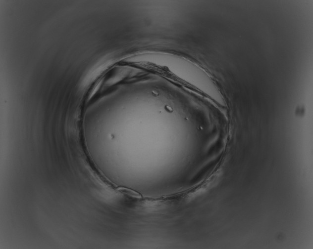 X0000091560341200708311419