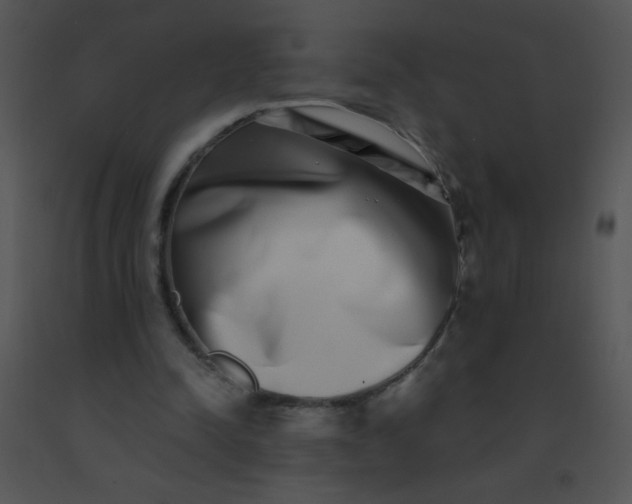 X0000091560342200708311419