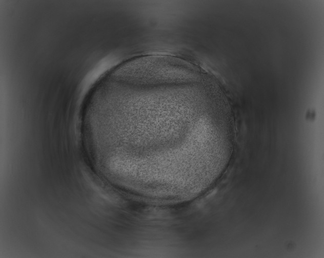 X0000091560343200708311419