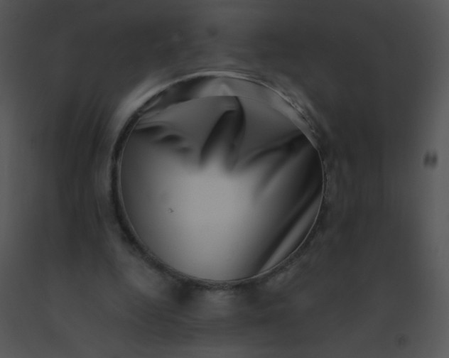 X0000091560344200708311419