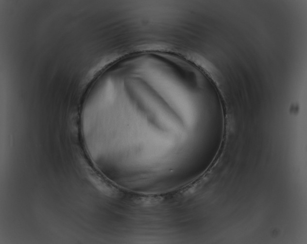 X0000091560345200708311419