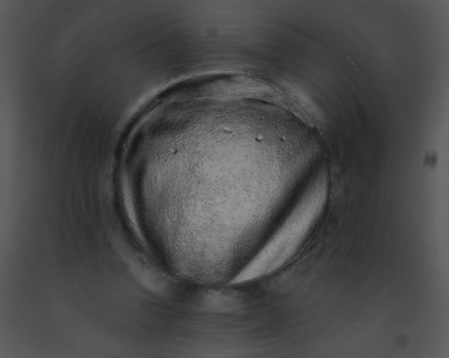 X0000091560346200708311419