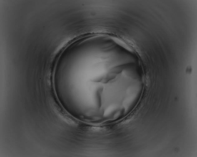 X0000091560347200708311419