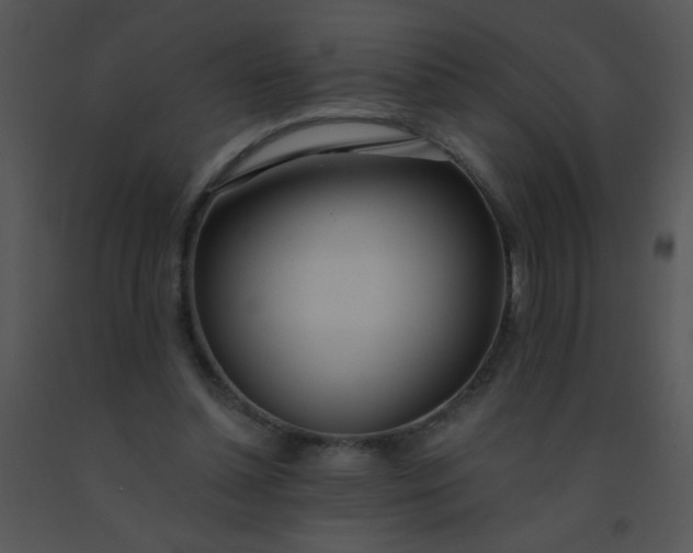 X0000091560348200708311419