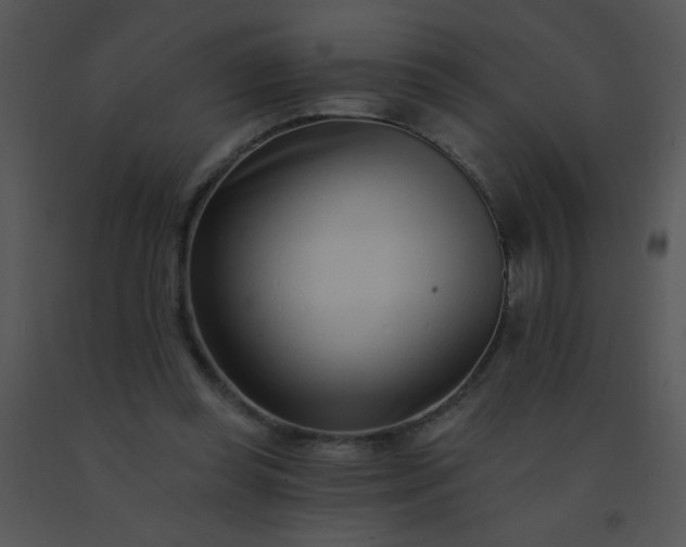 X0000091560349200708311419