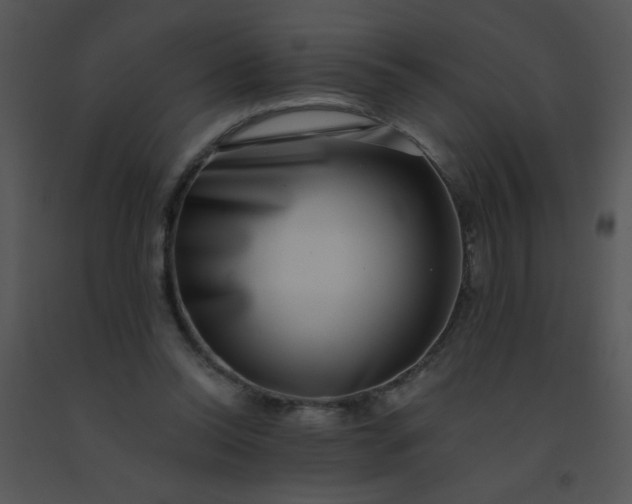 X0000091560350200708311419