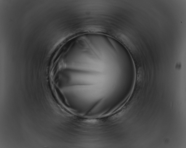 X0000091560351200708311419