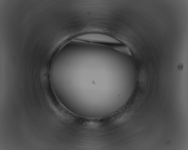 X0000091560352200708311419