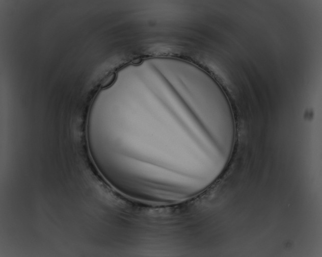 X0000091560353200708311419