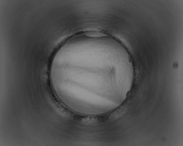 X0000091560354200708311419