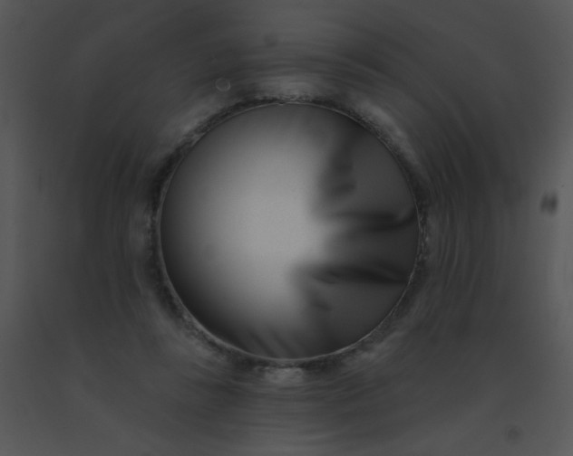 X0000091560355200708311419