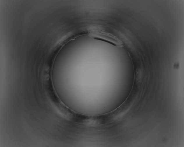 X0000091560356200708311419