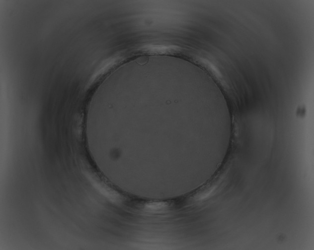 X0000091560357200708311419