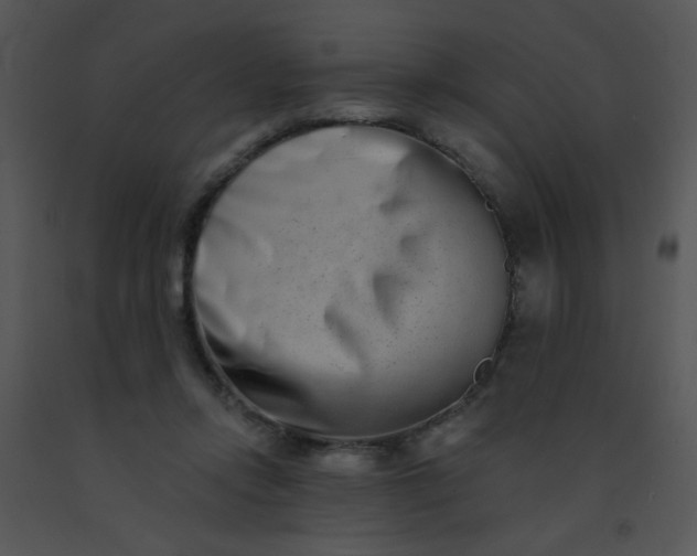 X0000091560358200708311419