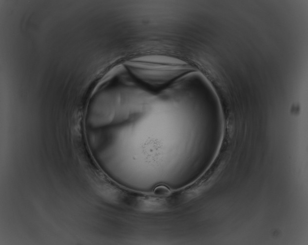 X0000091560359200708311420