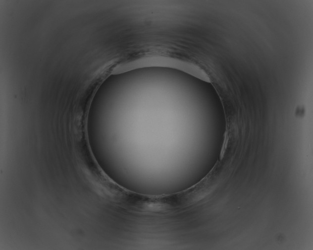 X0000091560360200708311420