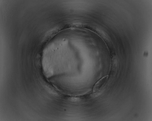 X0000091560361200708311420