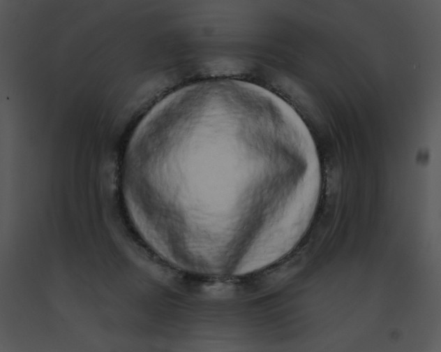 X0000091560362200708311420