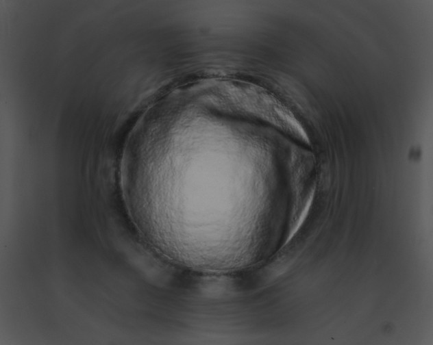 X0000091560363200708311420