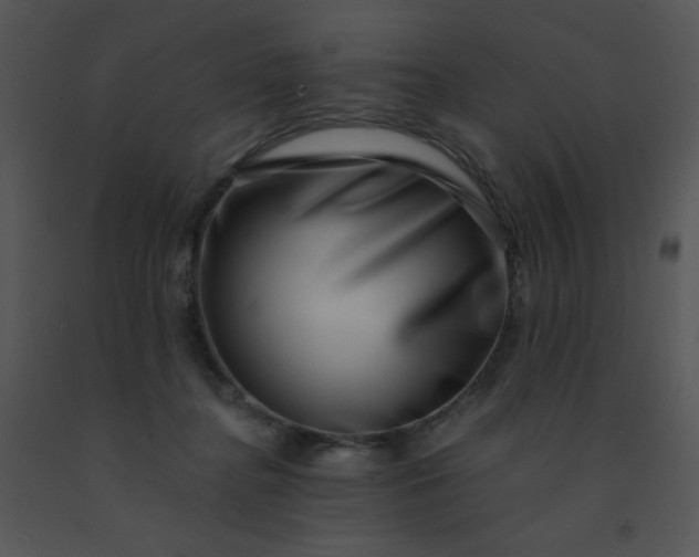 X0000091560364200708311420