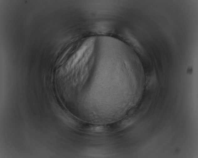 X0000091560365200708311420